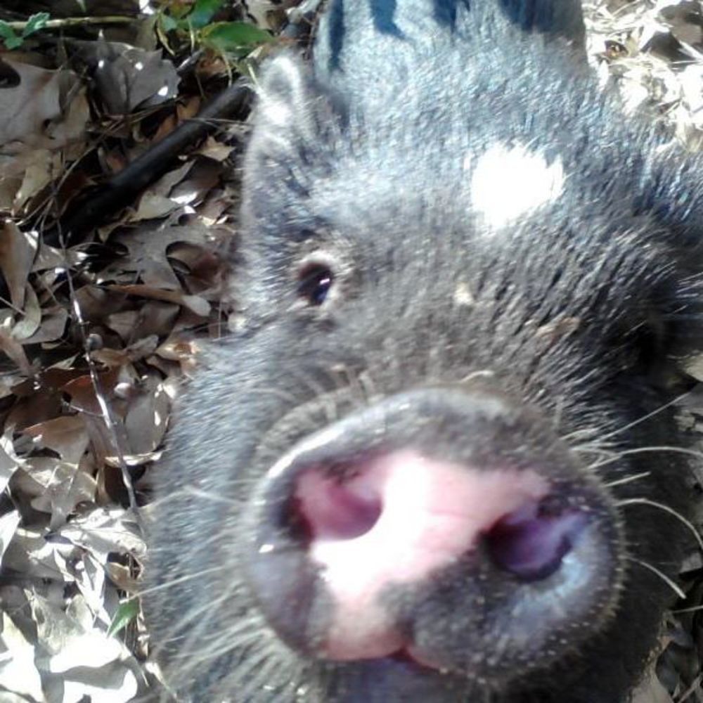 Meet your Posher, Kay